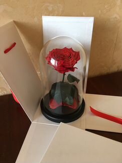 Роза в колбе. Быстрая Доставка. Большой Бутон