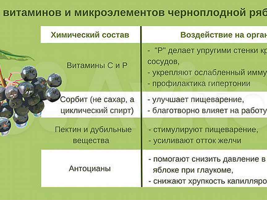 Польза черноплодной. Черноплодная рябина витамины состав. Черноплодная рябина состав Вита. Арония черноплодная химический состав. Состав черноплодной рябины витаминный.