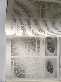 Марина Тихомирова «Литовское золото»