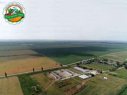 Филе Куриное горячее Копчение